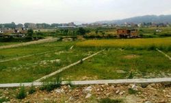 व्यक्तिकाे नाममा रहेकाे धाेवीखाेलाकाे जग्गा सरकारकाे नाममा ल्याउने तयारी