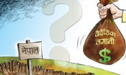 विदेशी लगानीकर्ताले ३ वर्षमा लगे ८१ अर्ब २८ करोड लाभाशं