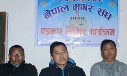 पाल्पामा मगरी खाना महोत्सव हुँदै