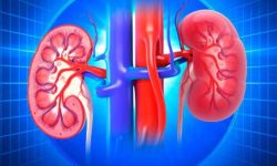 यस्ता छन मिर्गौला रोग हुनका कारण, लक्षण र रोकथाम