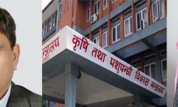 कृषि मन्त्री भूसालको धज्जी उडाउँदै पिएचडीधारी कृषि सचिव