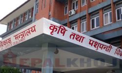 पूर्वकृषि राज्यमन्त्रीका पिएले बुझाएन  सरकारी गाडी