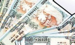 पाल्पामा सांसद विकास कोषको रकम विकास निर्माणमा खर्चिदै