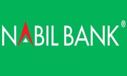 नबिल बैंकको प्रतिशेयर आम्दानीमा दबाब