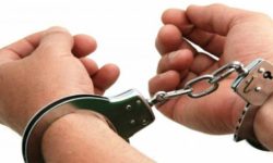 हतियारसहित तीन जना रौतहटबाट पक्राउ