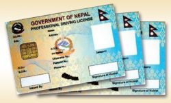 स्मार्ट लाइसेन्स  वितरणमा ढिलाइ