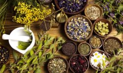 बाँकेमा व्यावसायिक जडीबुटी खेती