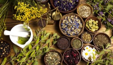 बाँकेमा व्यावसायिक जडीबुटी खेती