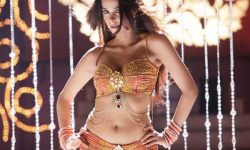 नयाँ वर्ष मनाउन बलिउड नायिका मल्लिका शेरावत लुम्बिनीमा