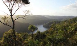 अष्ट्रेलियामा खोलामा डुबेर दुई नेपालीको मृत्यु