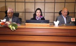 उद्योगी व्यवसायीलाई सरकारले विश्वास गरेन : व्यवसायी