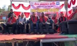 शिक्षा,स्वास्थ्य र रोजगारी मौलिक अधिकार हो : सांसद बस्नेत