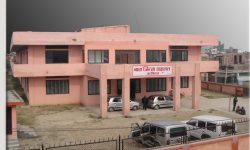 फरार अपराधी सुटुक्क अदालतमा