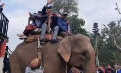 मुख्यमन्त्री पोखरेल–जङ्गल सफारी ( फोटो )