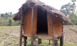 कञ्चनपुरमा ३९ वटा छाउगोठ भत्काइयो