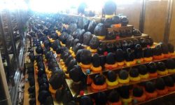 शालिग्राम  संग्रहालय