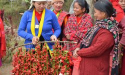 गाउँमा आउने पाहुनालाई  स्वागतको तयारी