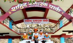 शहीद पार्क