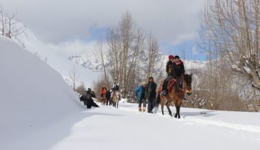 घोडा सवार  तीर्थयात्री