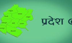 सोमबार सार्वजनिक बिदाकाे घाेषणा