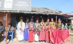 नृत्यका लागि थारु चेली