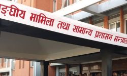 एकैपटक ८५ जना सह-सचिवको सरुवा