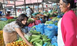 आजदेखि कालीमाटी तरकारी बजार बन्द