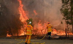 अष्ट्रेलियाको डढेलोले मानिससँगै पचास करोड पशुपंक्षीलाई खरानी बनायो