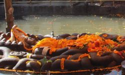 सूर्यविनायकमा शेषशायी नारायण मूर्ति स्थापना