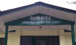 कांग्रेसले सातै प्रदेशमा खुला सभा गर्ने