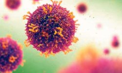 कोरोना :  विश्वभर १६ हजार ५०० भन्दा बढीको ज्यान गयो, अमेरिकामा डर लाग्दो अवस्था