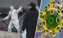 कोरोना : अमेरिकामा ३ करोड ९० लाख भन्दा बढी मानिस आइसोलेशनमा, कुन देशले के गर्दै छ ?