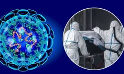 कोरोना संक्रमण आशंकित व्यक्ति टेकु अस्पतालबाटै फरार