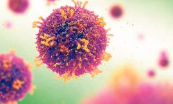 कोरोनाको कारण बेलायतमा थप एक नेपालीको मृत्यु