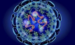 चीनमा ९ सय ८ जनाको मृत्यु