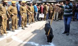 गणतन्त्र दिवसकै दिन आसाममा चार वटा बिस्फोट