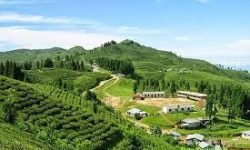 इलाममा माघे सङ्क्रान्तिका दिन सार्वजनिक बिदा