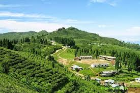 इलाममा माघे सङ्क्रान्तिका दिन सार्वजनिक बिदा