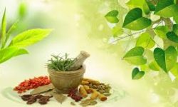 औषधि अभाव हुँदा सेवाग्राही मर्कामा