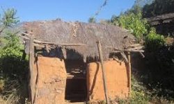 रोकिएन छाउपडी गोठ बनाउन