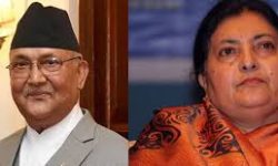 तामाङको सोनाम ल्होसार आज, हर्षोल्लासका साथ मनाइँदै, राष्ट्रिपति तथा प्रधानमन्त्रीद्वारा शुभकमना