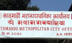 महानगरद्वारा ३८९ को परिवारसँग पुनःमिलान, अहिलेसम्ममा ५ सय ५० जनाको उद्धार