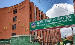 कोरोना महामारीका समय कृषि विकास बैंकले ऋणिलाई सहयोग गर्ने