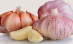 स्वास्थ्यको लागि फाइदायुक्त लसुन