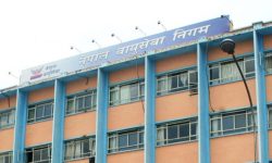 नेपाल एयरलाइन्सको नियमित काम कारबाही सञ्चालनमा