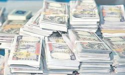 पुससम्म २० अर्बको सेयर निष्कासन