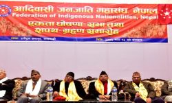 केन्द्रीय कमिटी बैठकको अन्तिम तयारीमा छौँ  : प्रचण्ड