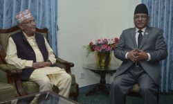 सहयोगी नेताबीच ओली र प्रचण्डको छलफल