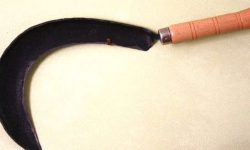 खुर्पा प्रहारबाट प्रहरीसहित चार घाइते