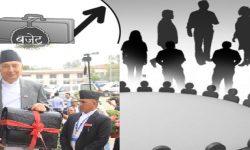 बजेट ब्रिफकेस मै सिमित युवा परिचालन वर्ष, १० लाख युवा प्रभावित